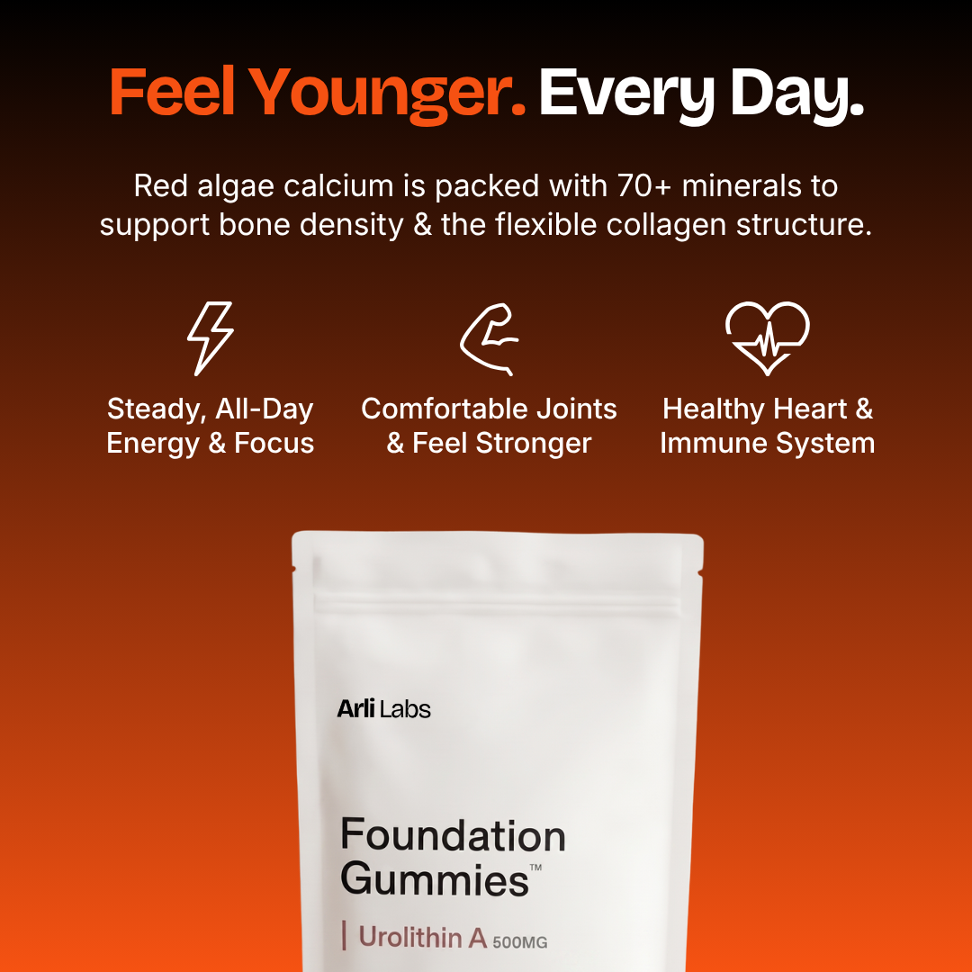 Foundation Gummies