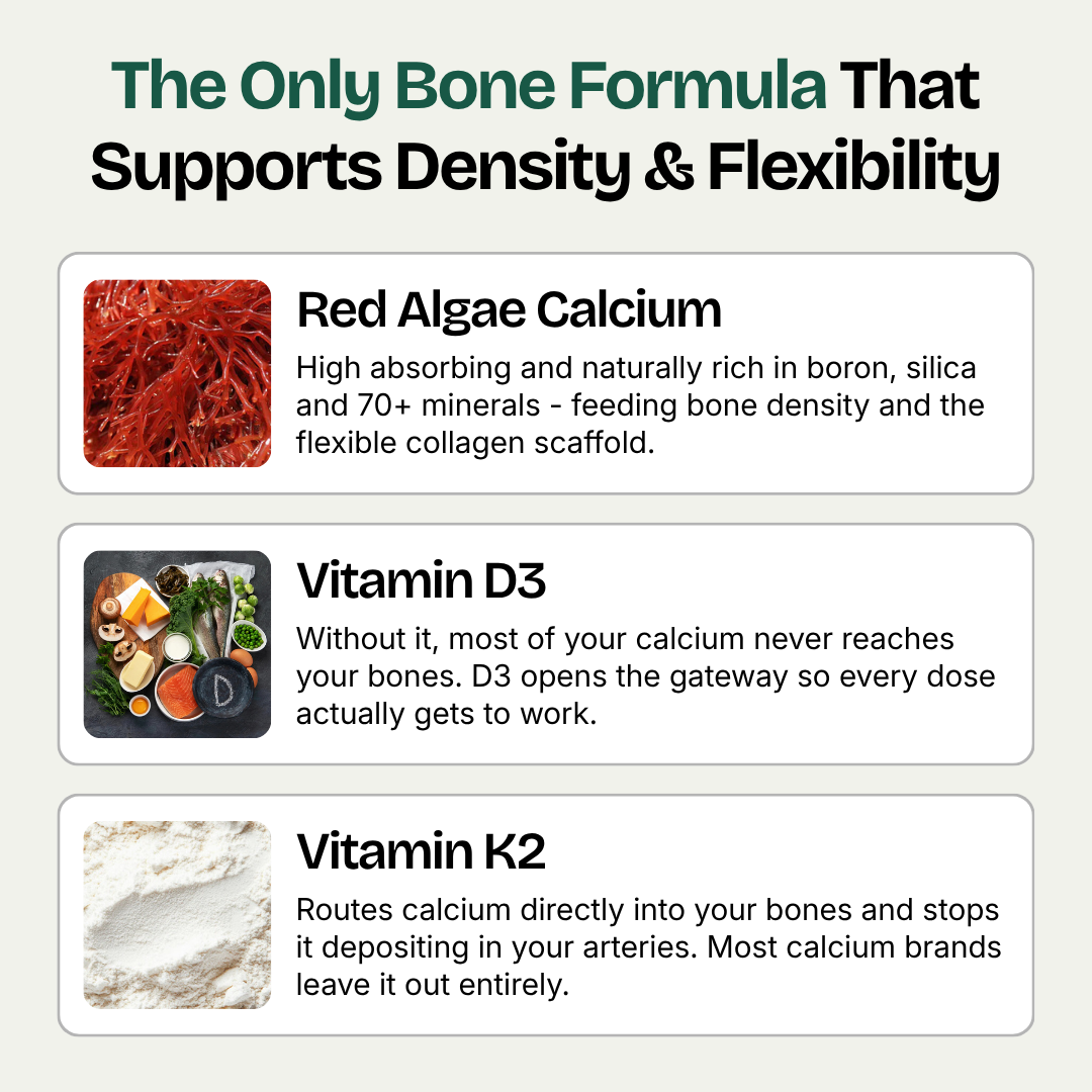 Red Algae Calcium Gummies