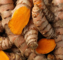 Turmeric Extract