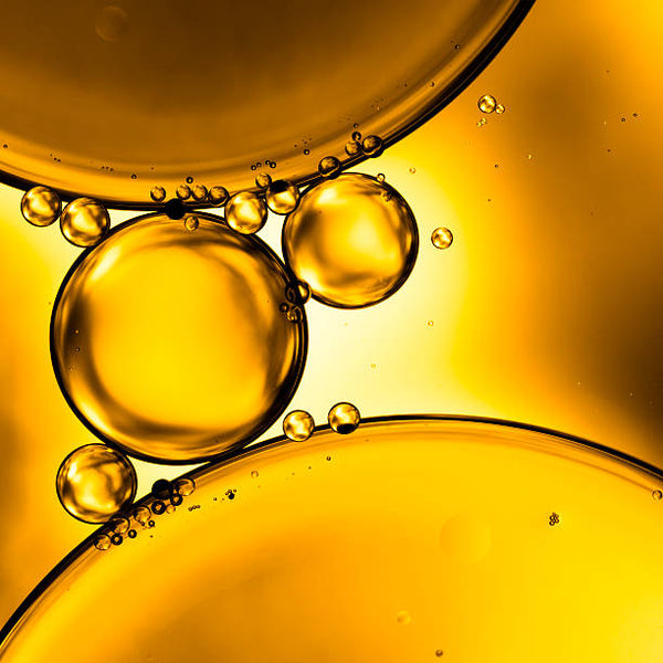 Sunflower Oil